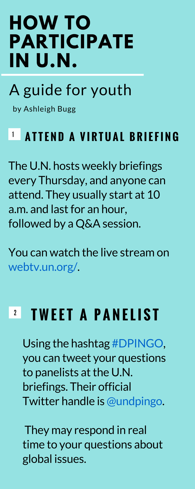 HOw to Participate in the U.N. (2).png